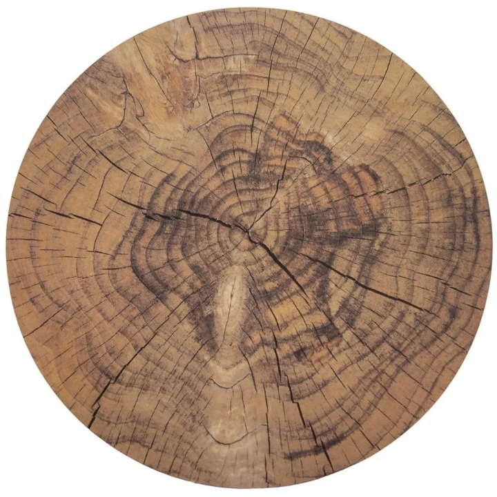 Podkładka na stół korkowa okrągła WOODEN 38 cm