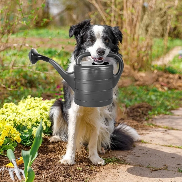 Konewka do podlewania plastikowa szara 5 l