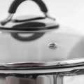 Garnek stalowy ze szklaną pokrywką DALIE 26 cm, 10,6 l