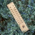 Termometr uniwersalny 22 cm