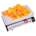Waga kuchenna 13 kg