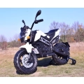 OLBRZMI MOTOR CROSS STRONG 2 EXCLUSIVE, AMORTYZATOR, GAZ W MANETCE /BLF918