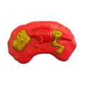LT237 DINOZAUR STEROWANY RC Z PARĄ RYCZY CHODZI