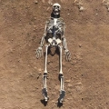 Szkielet człowieka model 90cm kościotrup dekoracja anatomiczny model edukacyjny do szkoły lub wystroju wnętrz