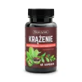 KRĄŻENIE ruszczyk, diosmina, kasztanowiec