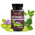 NATTOKINAZA 2000 FU