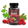 SERCE głóg, serdecznik, L-lizyna