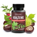KRĄŻENIE ruszczyk, diosmina, kasztanowiec