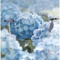 Okulary do czytania bezramkowe TERAISE lekkie unisex antyblue light