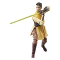 Hasbro Star Wars Black Series Acolyte Jedi Master Yord Fanda
