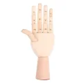 Drewniana ręka manekin 18 cm do rysowania model anatomiczny dla artystów i dekoracyjny element wnętrza