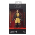 Hasbro Star Wars Black Series Acolyte Jedi Master Yord Fanda