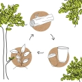 Serwetki papierowe BIOZOYG DES02804 2400 szt ekologiczne kompostowalne