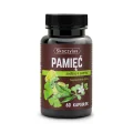 PAMIĘĆ miłorząb, bakopa, ginkgo biloba, różeniec