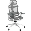 Krzesło biurowe SIHOO Doro C300 L-A3-002 ergonomiczne białe