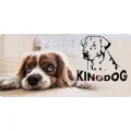 Legowisko dla psa kojec KINGDOG 115x95 cm personalizowane wodoodporne kości srebrne