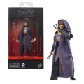 Hasbro Star Wars Black Series The Acolyte Mae Assassin