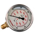 Manometr gliceryn. YT100GL-1/2" 0-600 bar 100mm dolny gwint