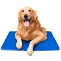 Żelowa mata chłodząca dla zwierząt 52x52 cm niebieska
