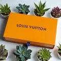 Kartonowe pudełko Louis Vuitton z wysuwaną szufladką, złotobrązowe