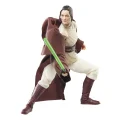 Hasbro Star Wars Black Series The Acolyte Jedi Master Indara