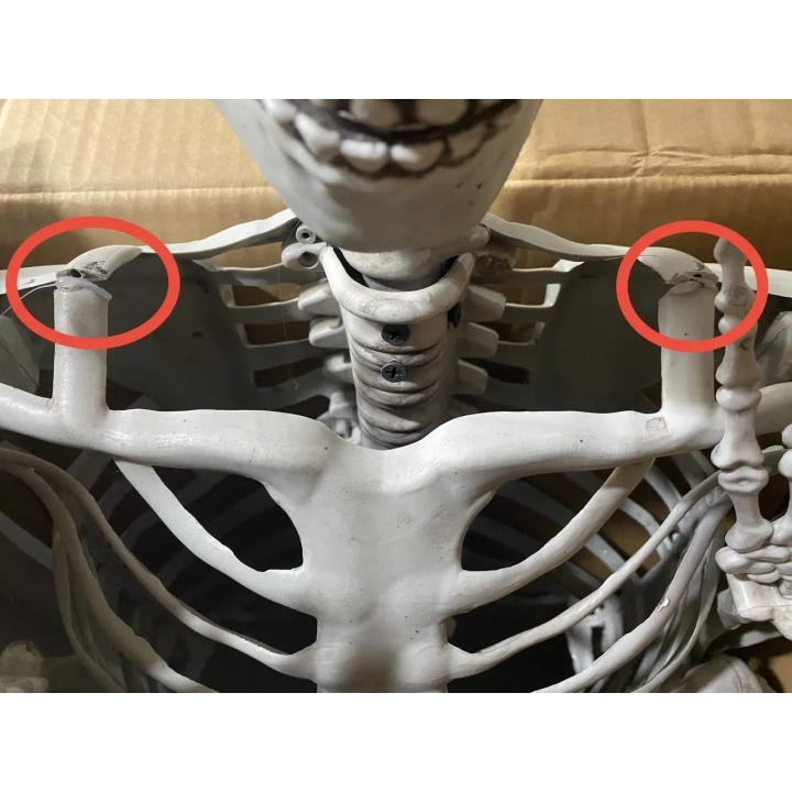 Duży szkielet 180 cm Anatomiczny model człowieka, dokładne szczegóły