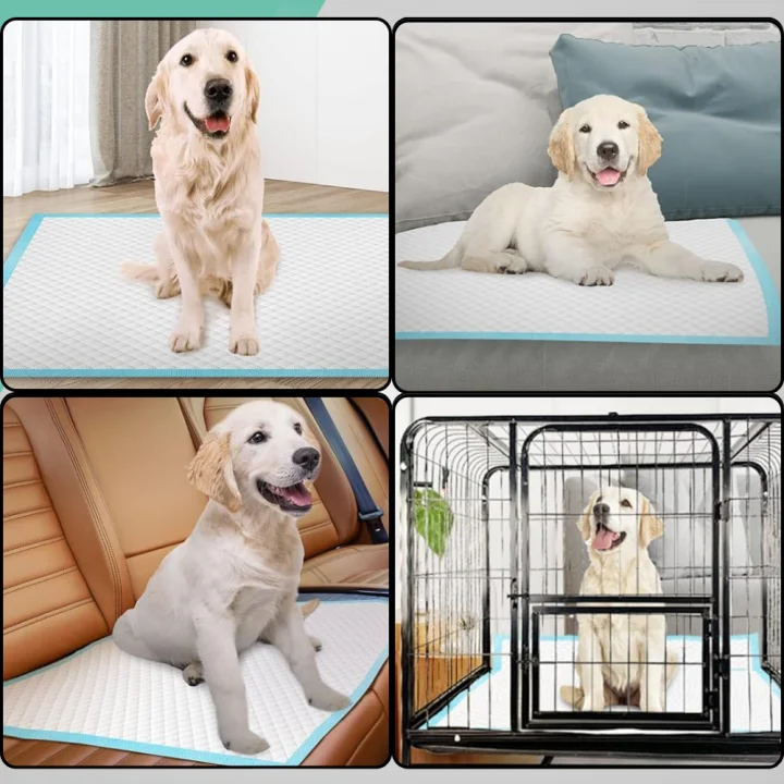 PODKŁADY DLA PSÓW HIGIENICZNE MATY DLA PSA DO SIKANIA ZWIERZĄT 60 x 60 100 szt