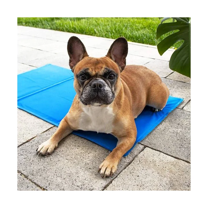 Żelowa mata chłodząca dla zwierząt 52x52 cm niebieska