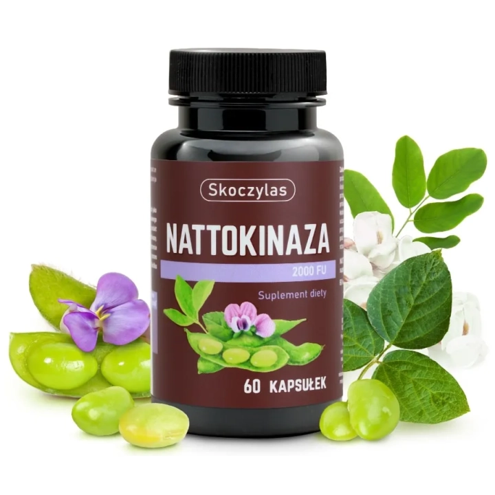 NATTOKINAZA 2000 FU