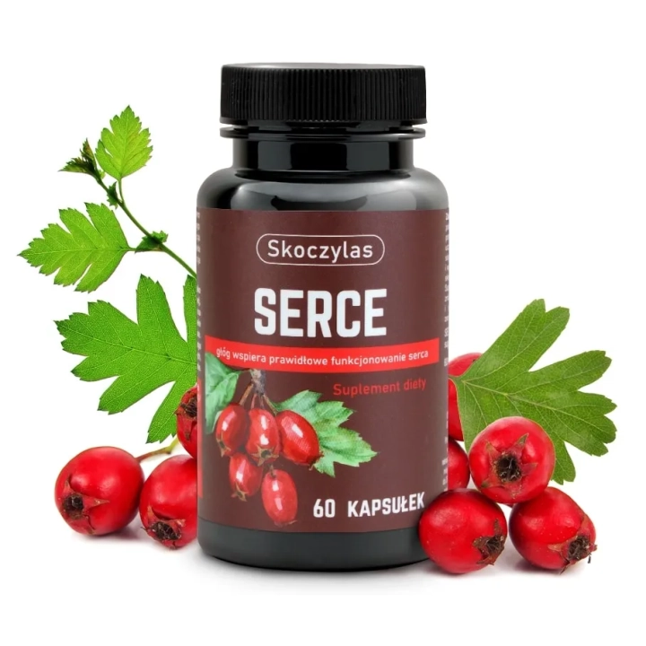SERCE głóg, serdecznik, L-lizyna