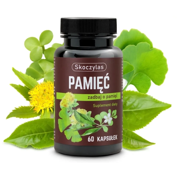 PAMIĘĆ miłorząb, bakopa, ginkgo biloba, różeniec
