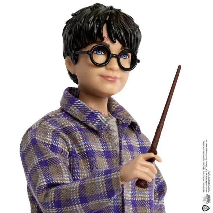 Wizarding Harry Potter i Ron Weasley w pociągu