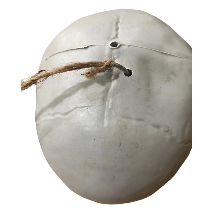 Duży szkielet 180 cm Anatomiczny model człowieka, dokładne szczegóły