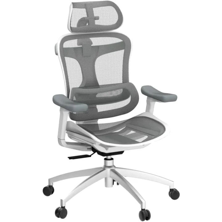 Krzesło biurowe SIHOO Doro C300 L-A3-002 ergonomiczne białe