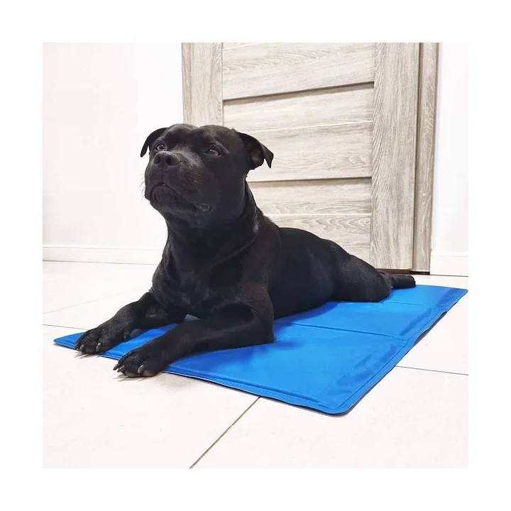 Żelowa mata chłodząca dla zwierząt 52x52 cm niebieska