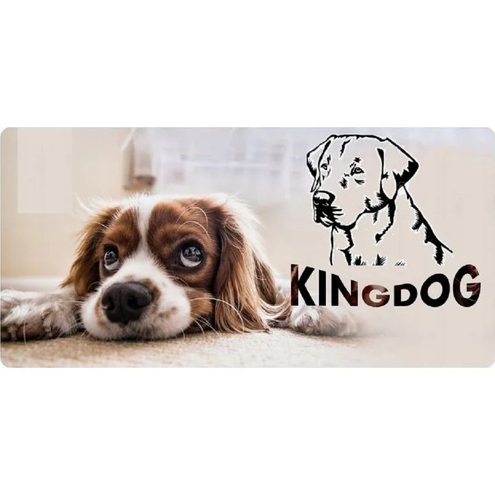 Legowisko dla psa kojec KINGDOG MM43 115x95 cm personalizowane rozbieralne antyslip czarne