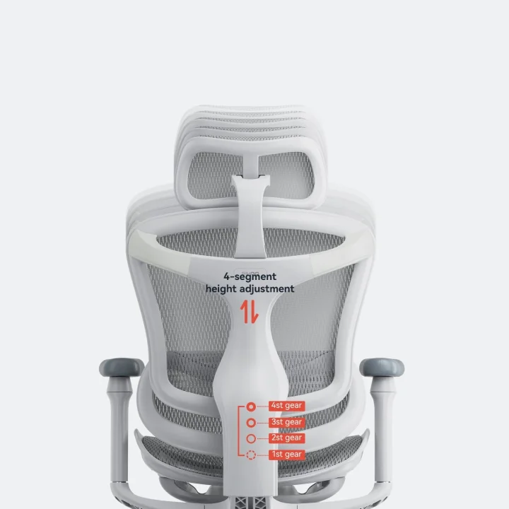 Krzesło biurowe SIHOO Doro C300 L-A3-002 ergonomiczne białe