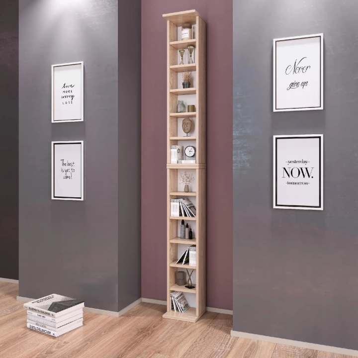 Regał na płyty CD/DVD regulowane półki dąb sonoma